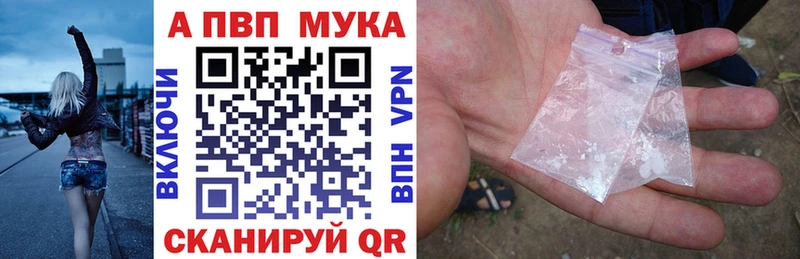 Alfa_PVP СК КРИС Чегем