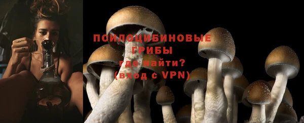 амф Россошь