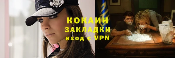 дурь Сатка