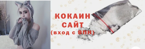 амф Россошь