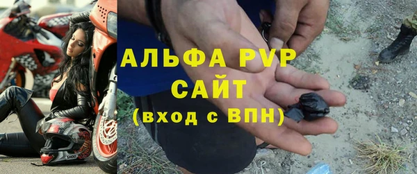 амф Россошь