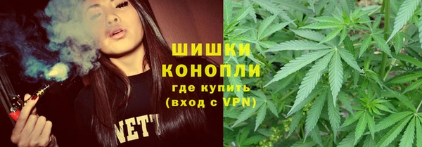 прущая мука Рославль