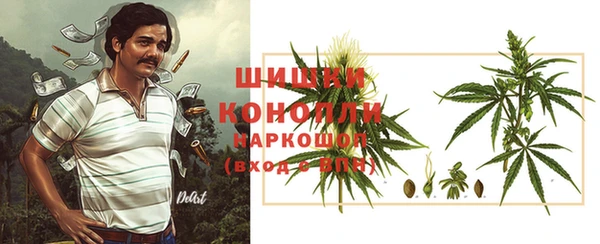 дурь Сатка