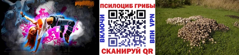 Псилоцибиновые грибы ЛСД  Чегем 